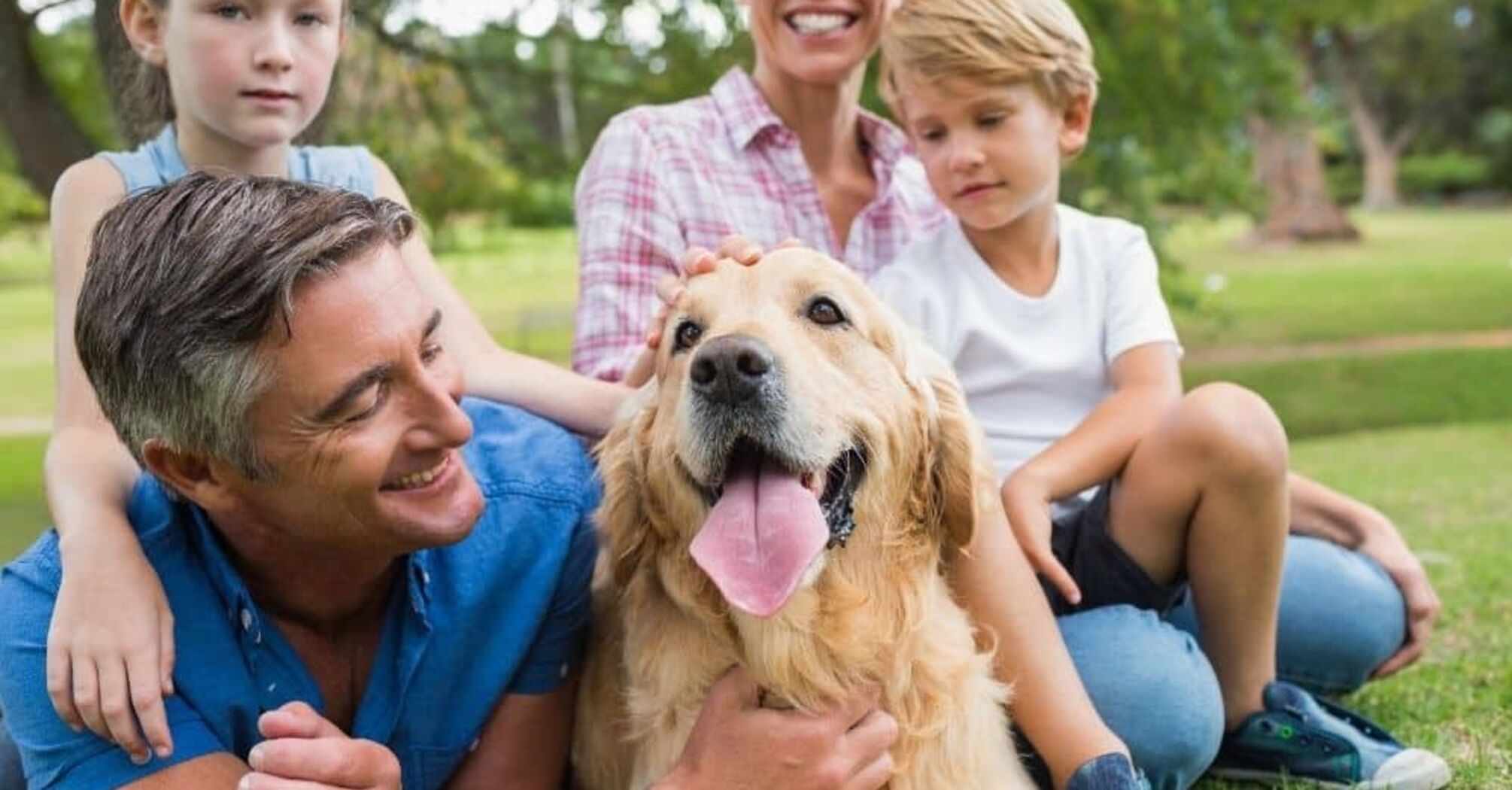 How to choose the right dog for your family