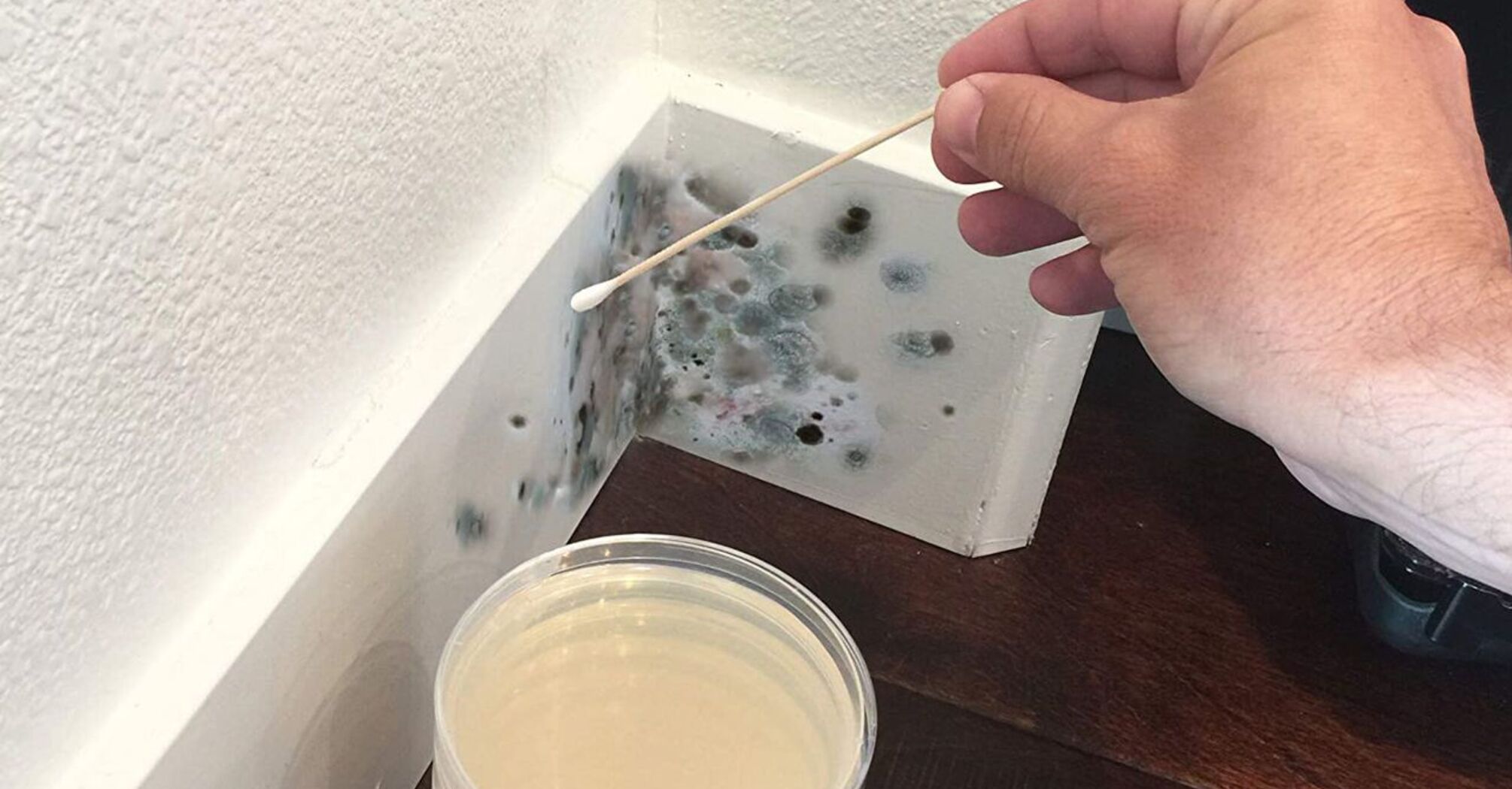 How to deal with mold in the house