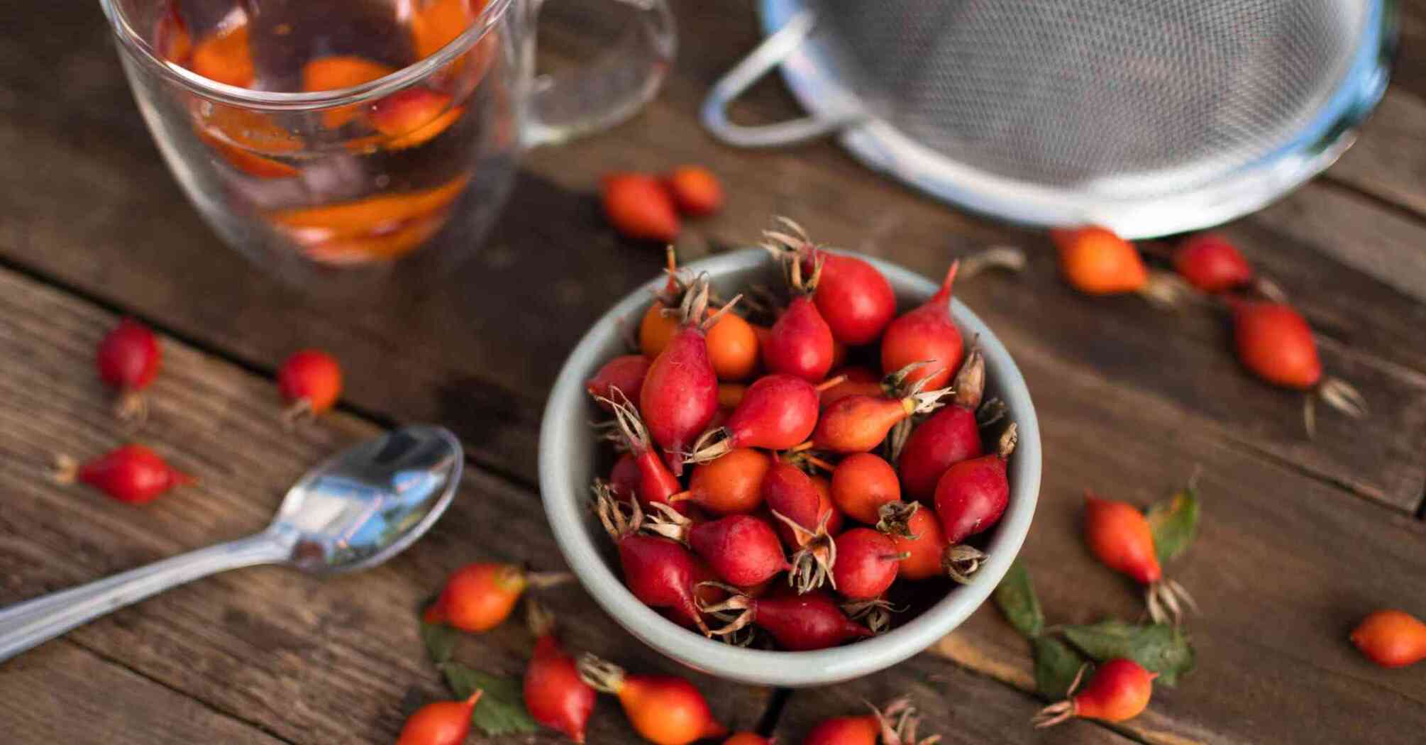 How to brew rose hips correctly