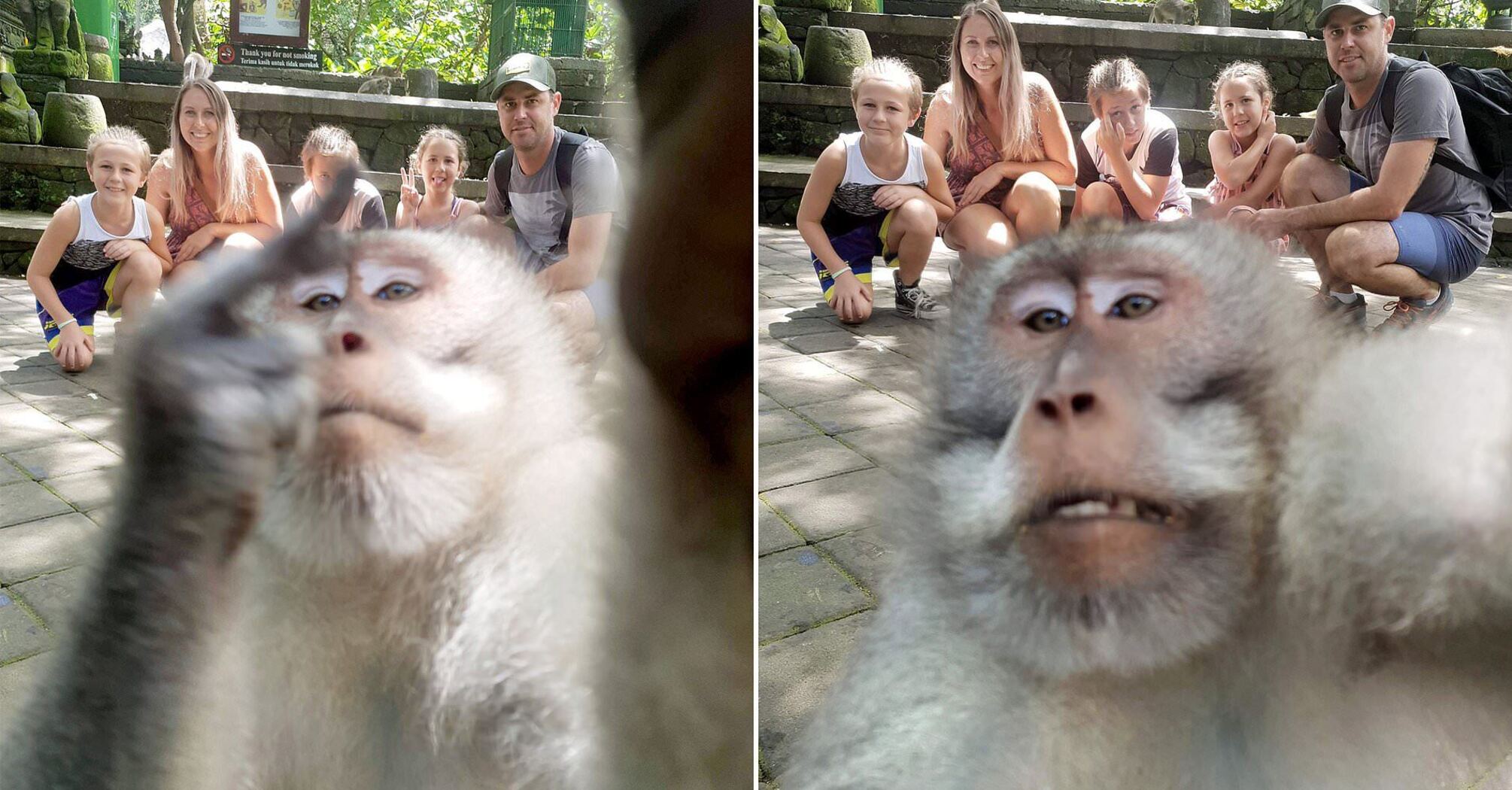 Monkey takes selfie with stunned tourists