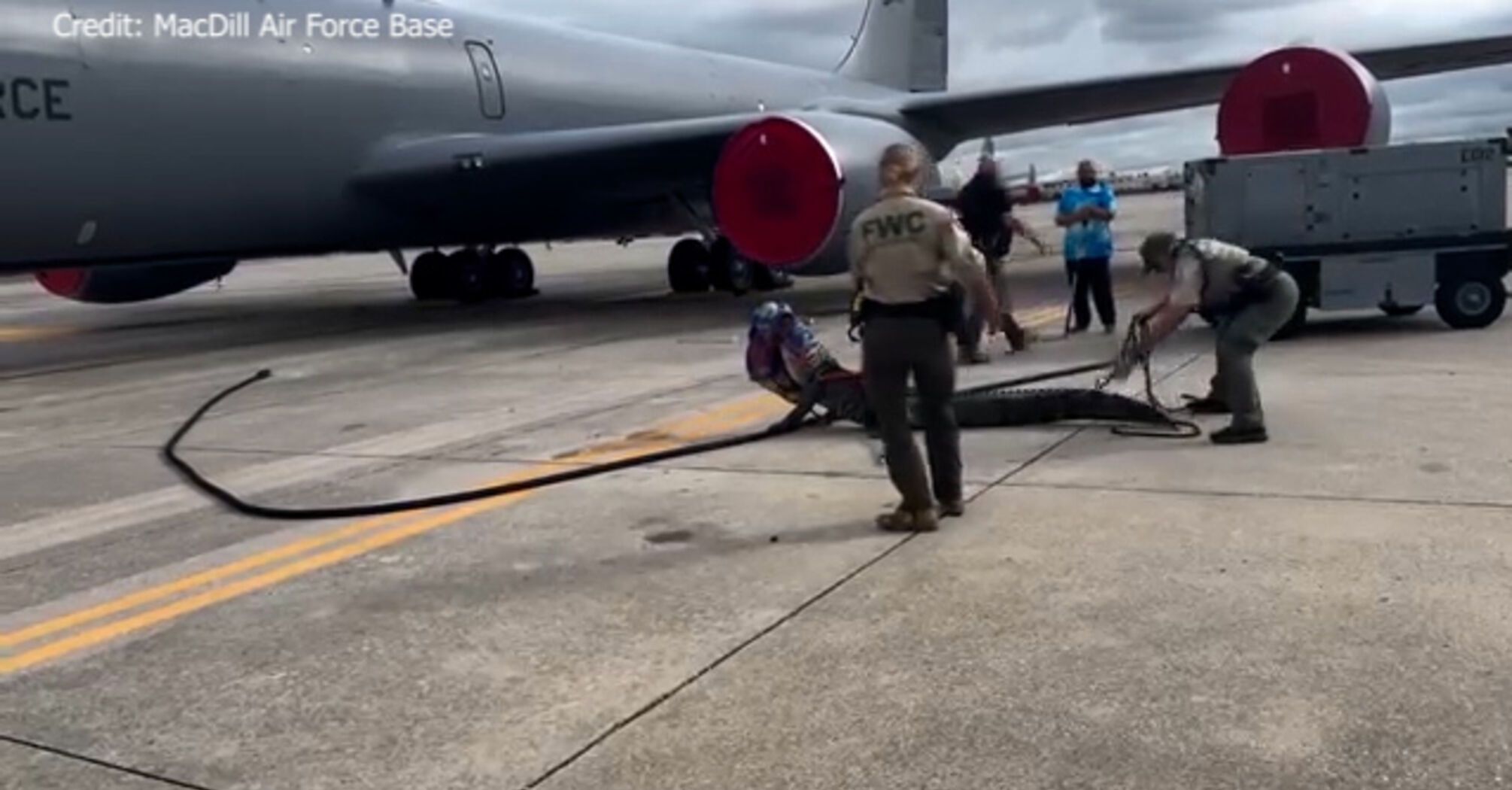 A three-meter alligator blocked a US military plane