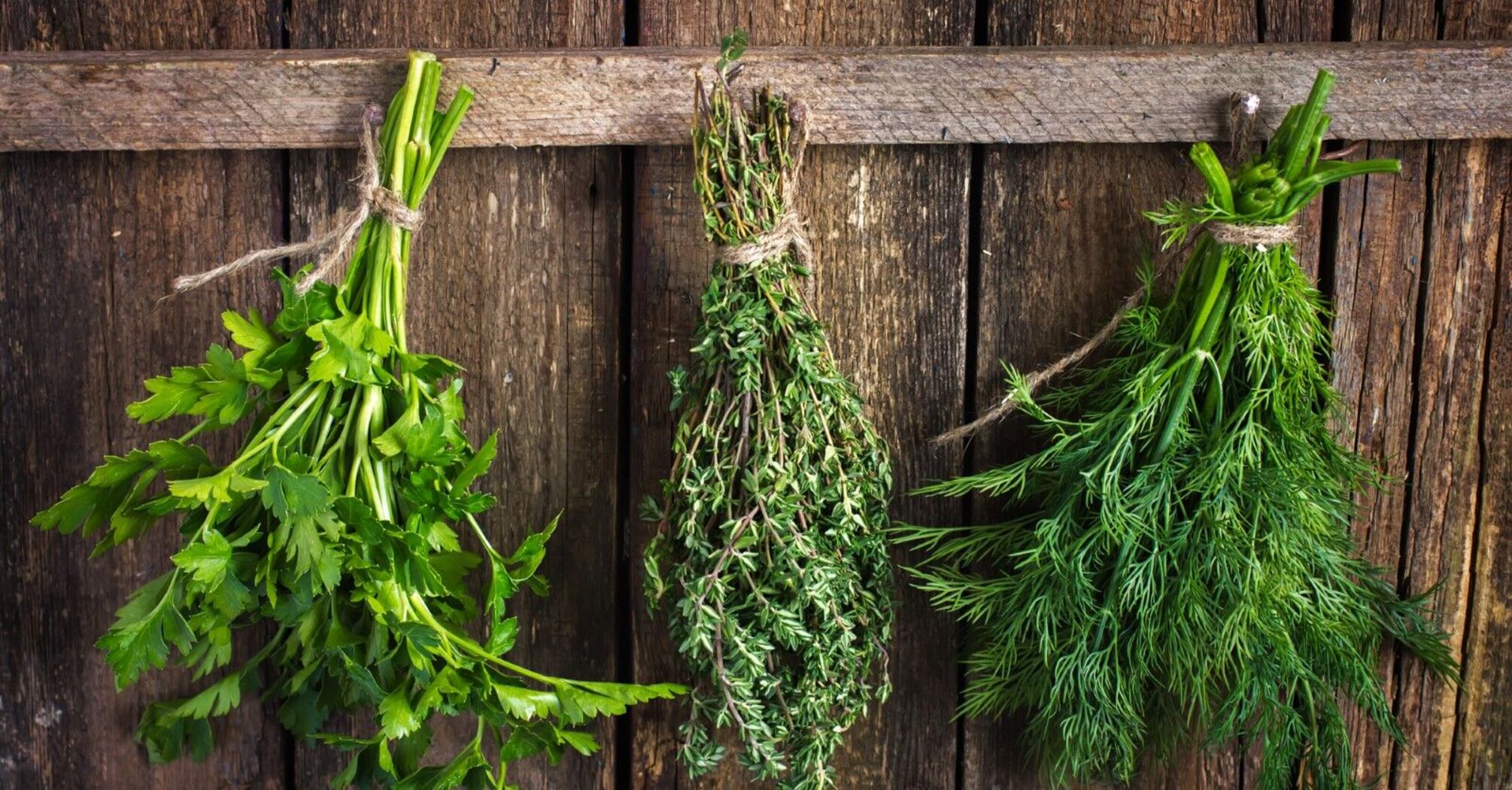 Why you should hang dill over your door