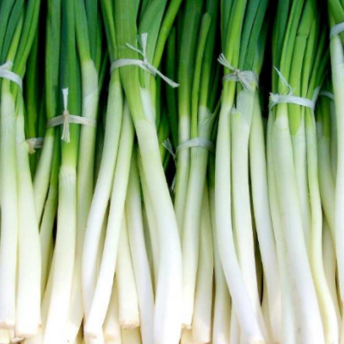 What not to fertilize onions with in spring