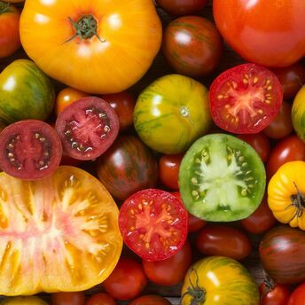 How to revive tasteless tomatoes