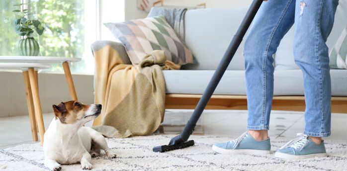 How to get rid of pet hair on carpets and furniture