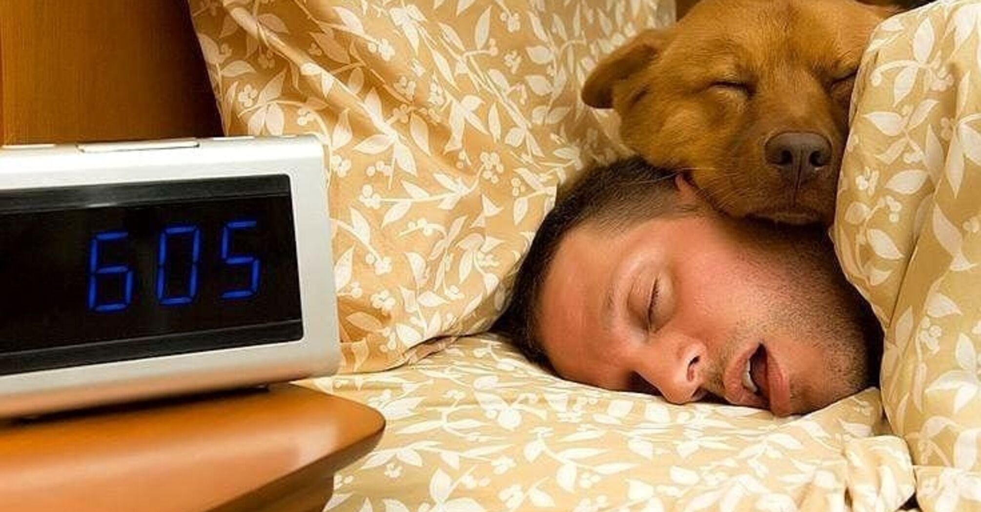 How to train a dog to stop sleeping on the owner's bed