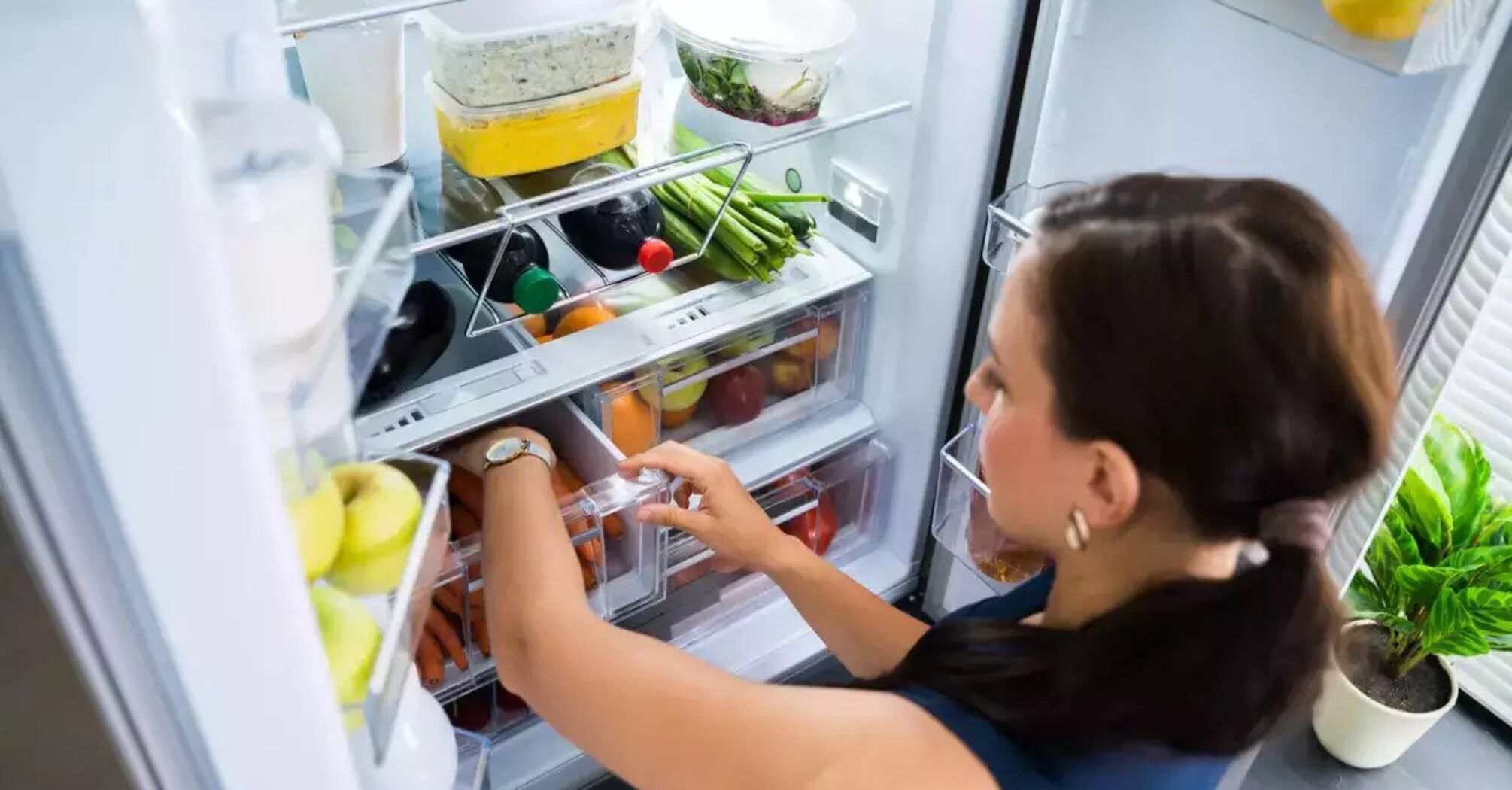 How to keep food fresh in the fridge - how to prevent food spoilage ...