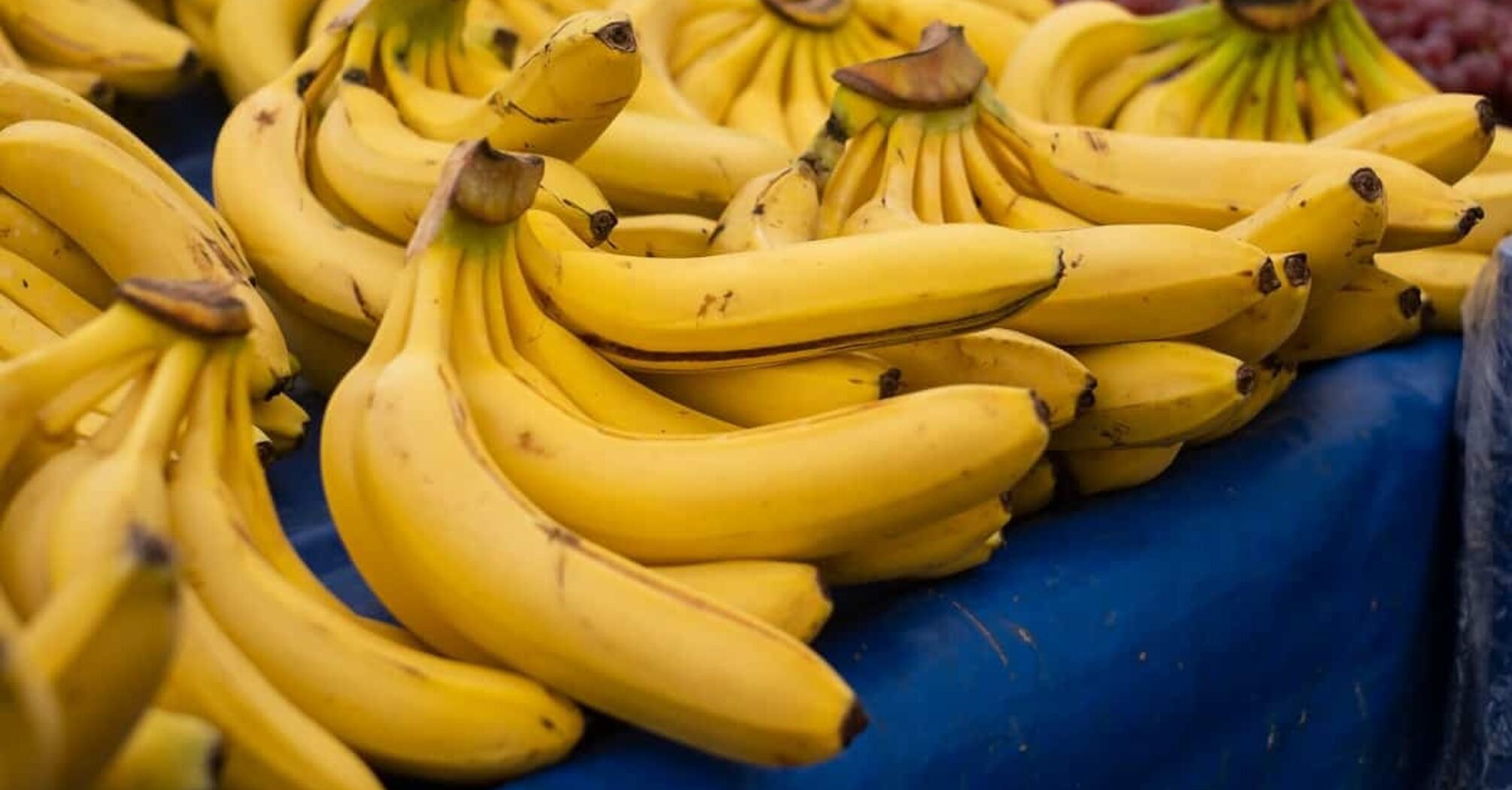 How to store bananas properly so that they don't darken