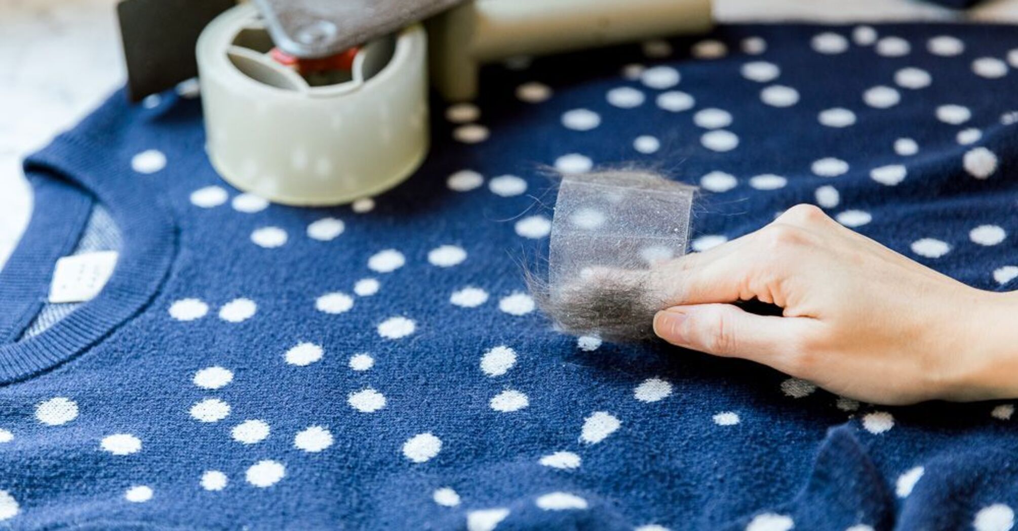 How to easily remove pet hair from clothes