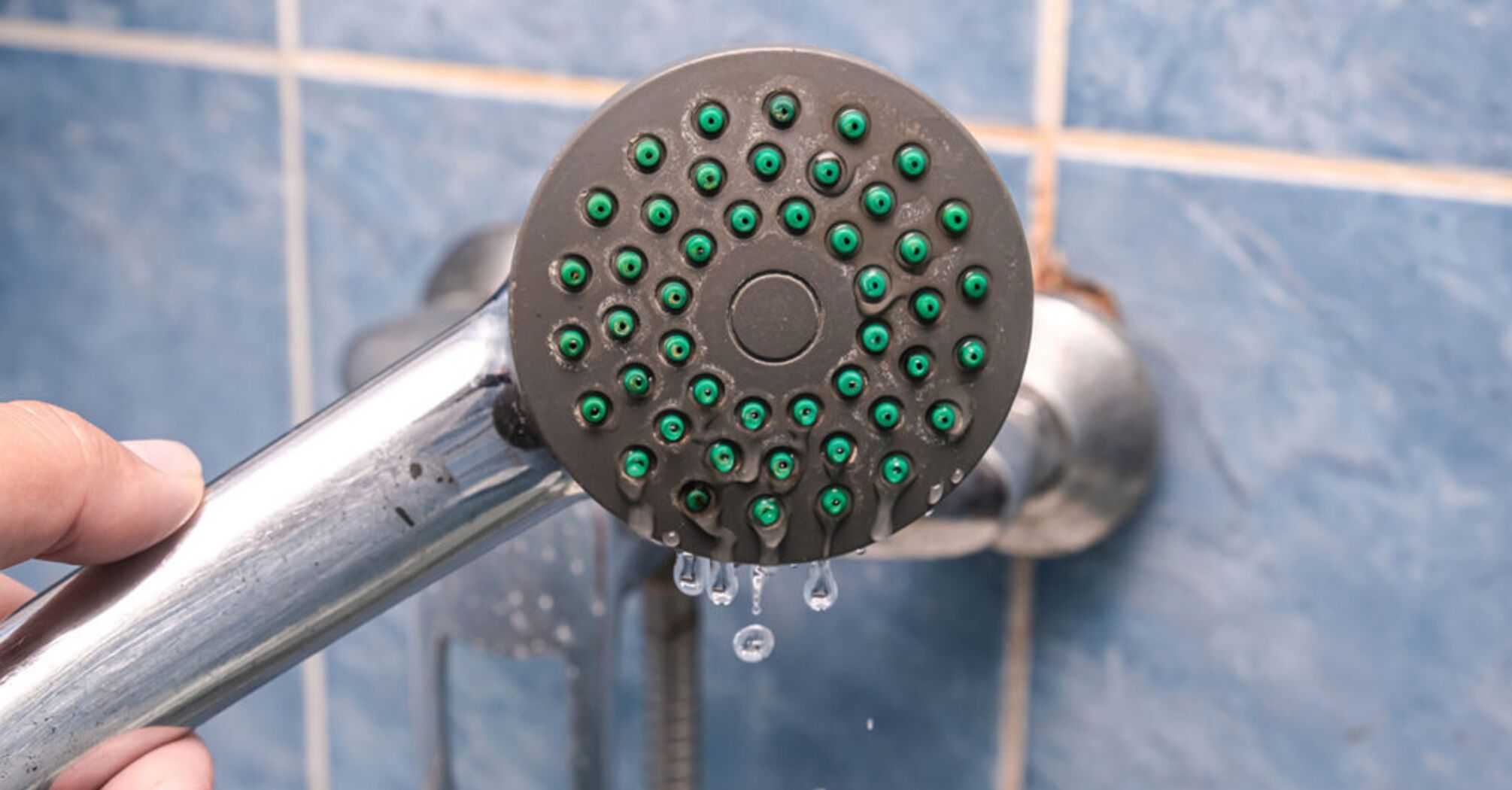 How to clean a shower head from limescale