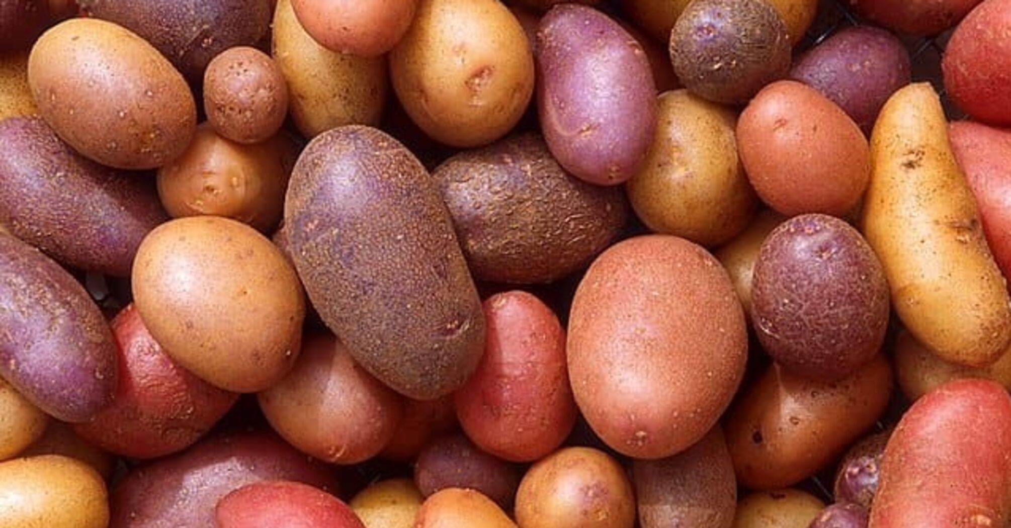 What you didn't know about potatoes