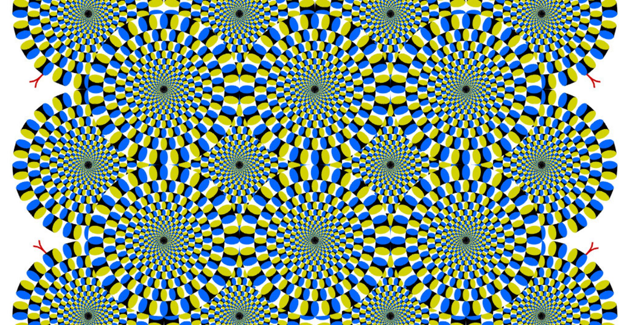 Visual Optical Illusion Test: Did you see the Rotating Snakes or Spinning Discs?