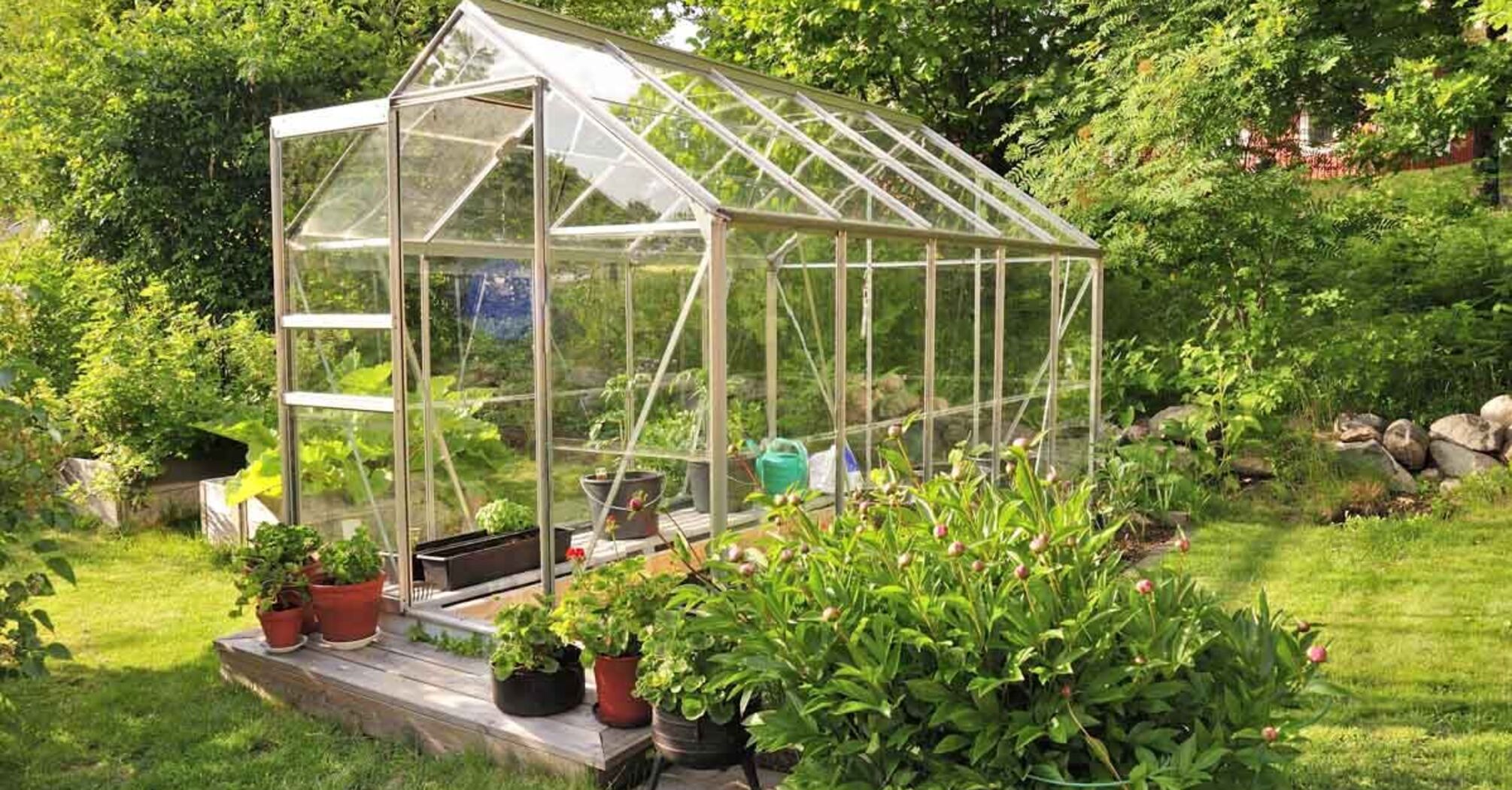How to choose the best greenhouse for your site