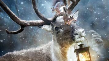 Deer - symbolic meaning