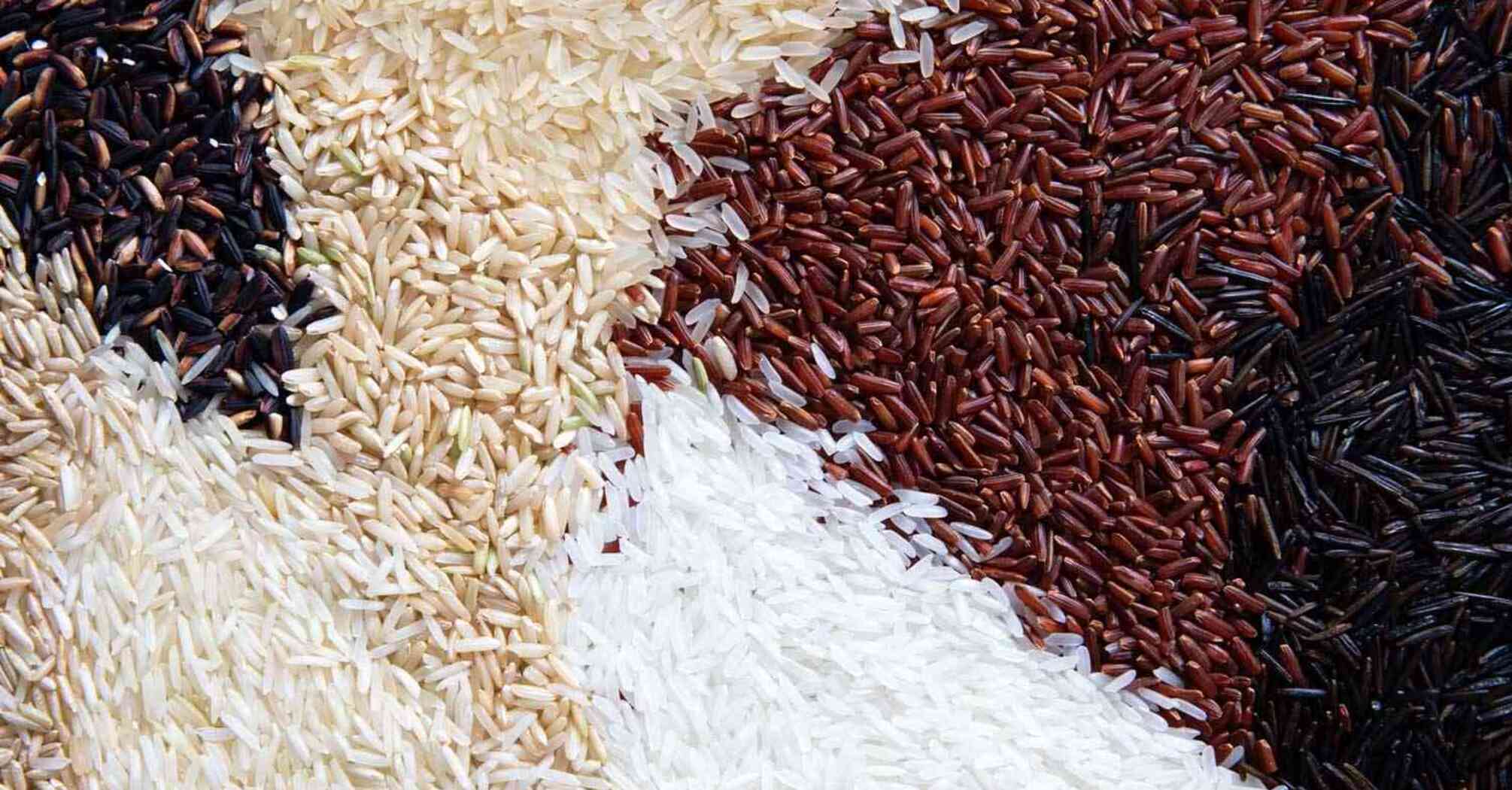 How to identify different types of rice?