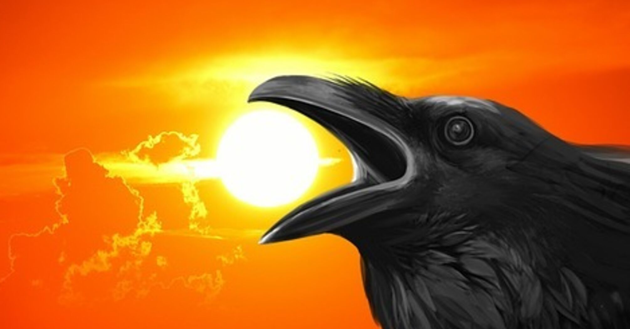 Meaning Of The Cawing Of The Crow Spiritual Meaning And Symbolism Meaning Of The Cawing Of The Crow Spiritual Meaning And Symbolism