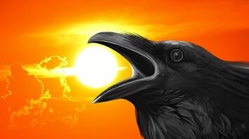What is the meaning of crow cawing?