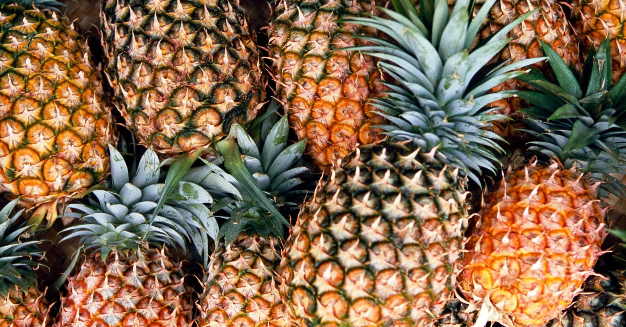 How to choose a delicious and ripe pineapple