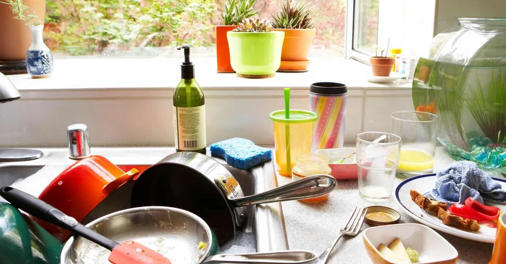 What happens if you leave dirty dishes overnight is it possible to