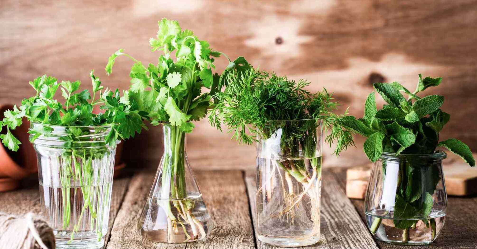 What to do to keep fresh herbs longer how to store fresh herbs