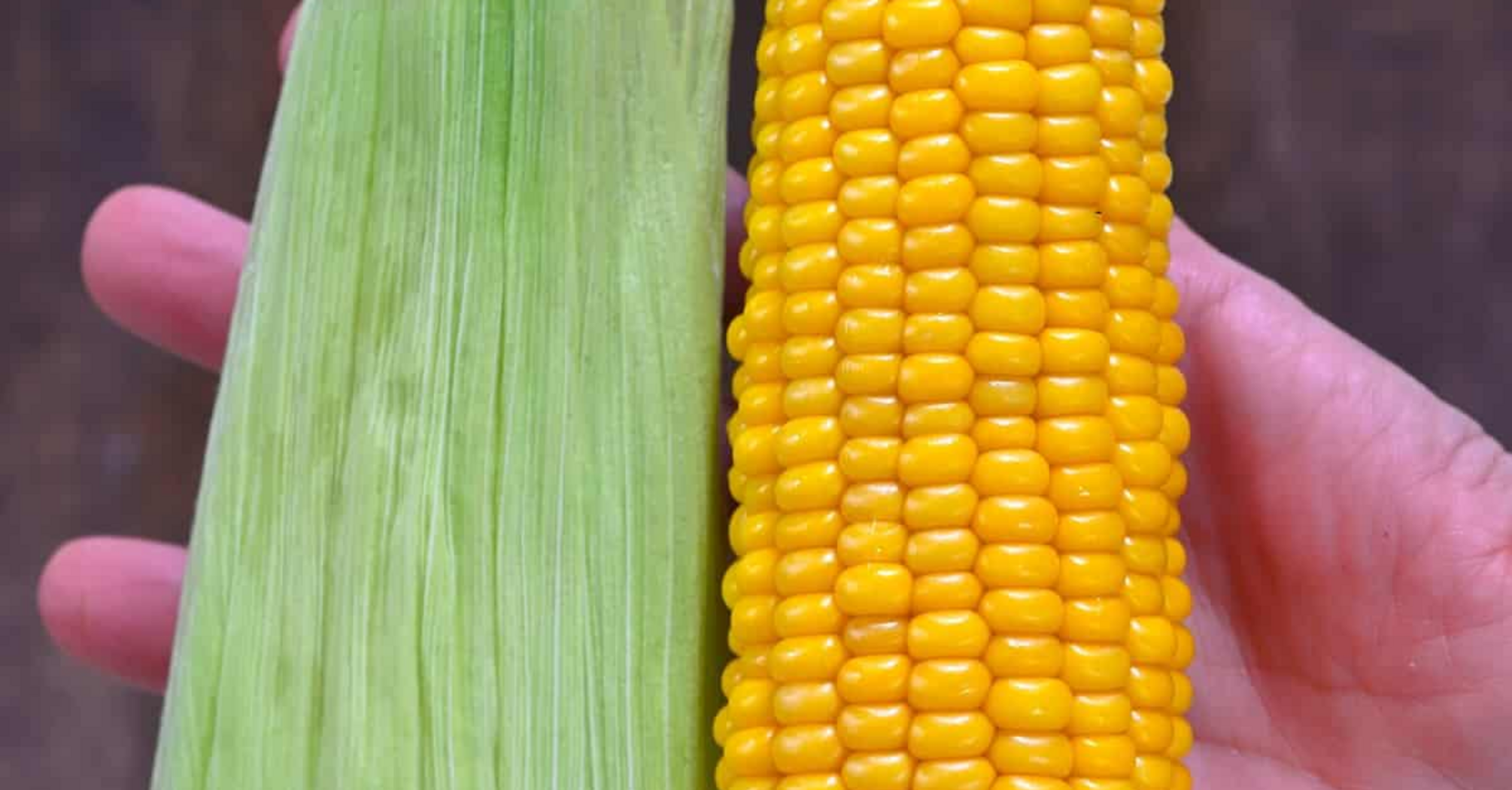 Tips and tricks for freezing corn