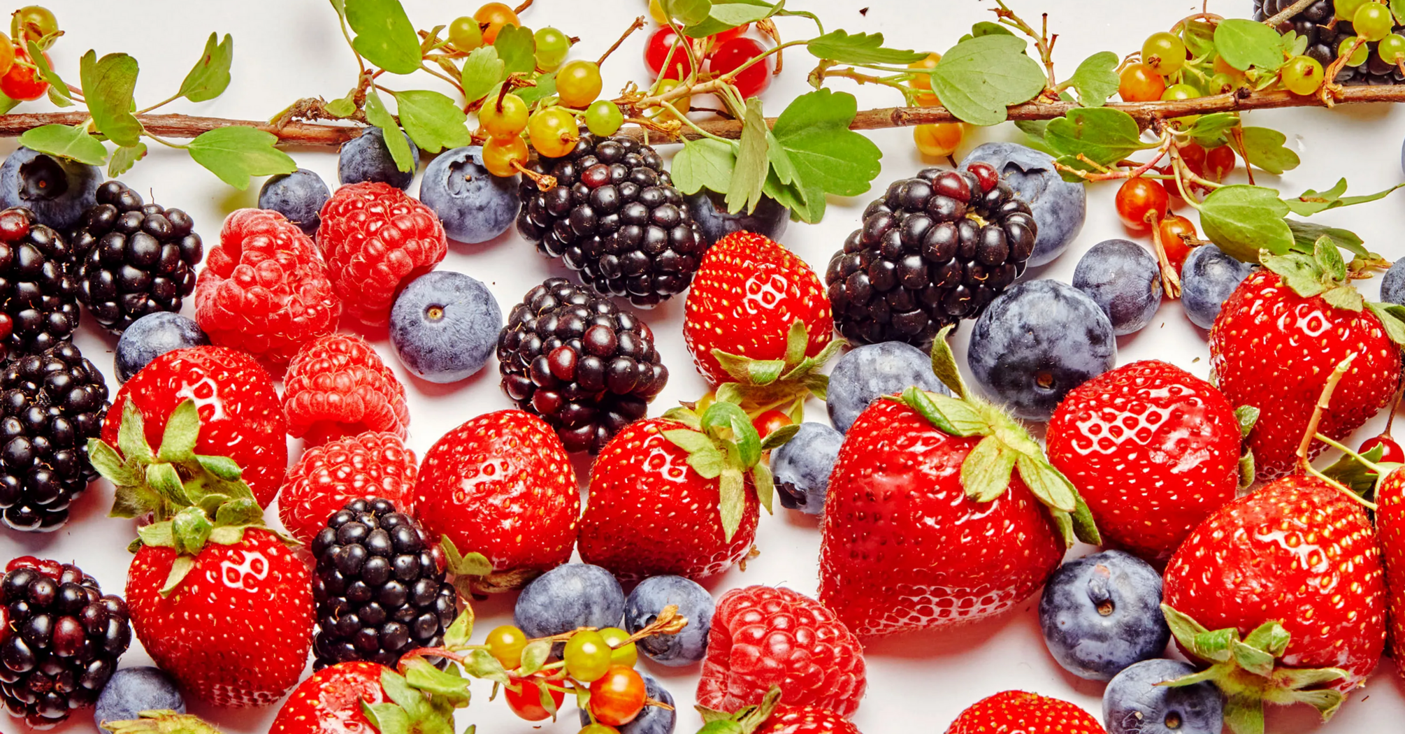 Tips for maximizing freshness of berries