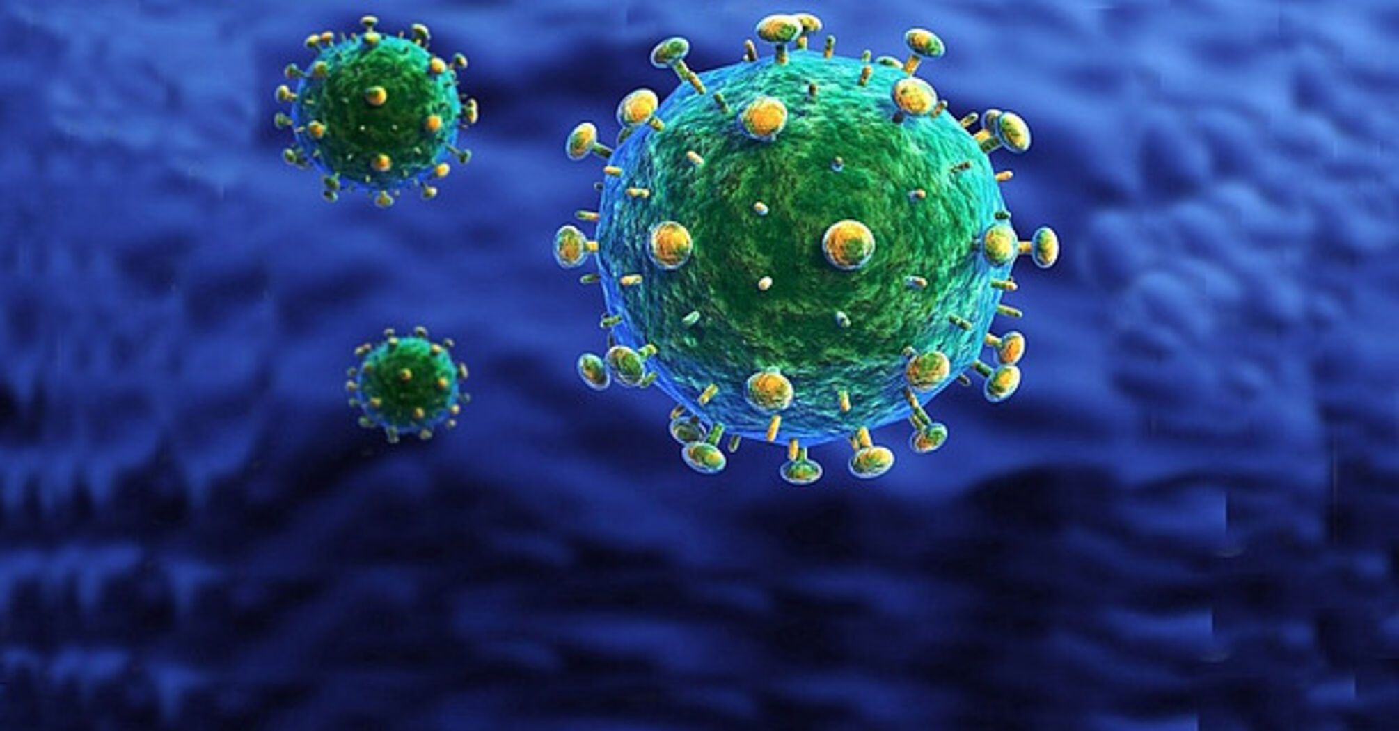 HIV virus