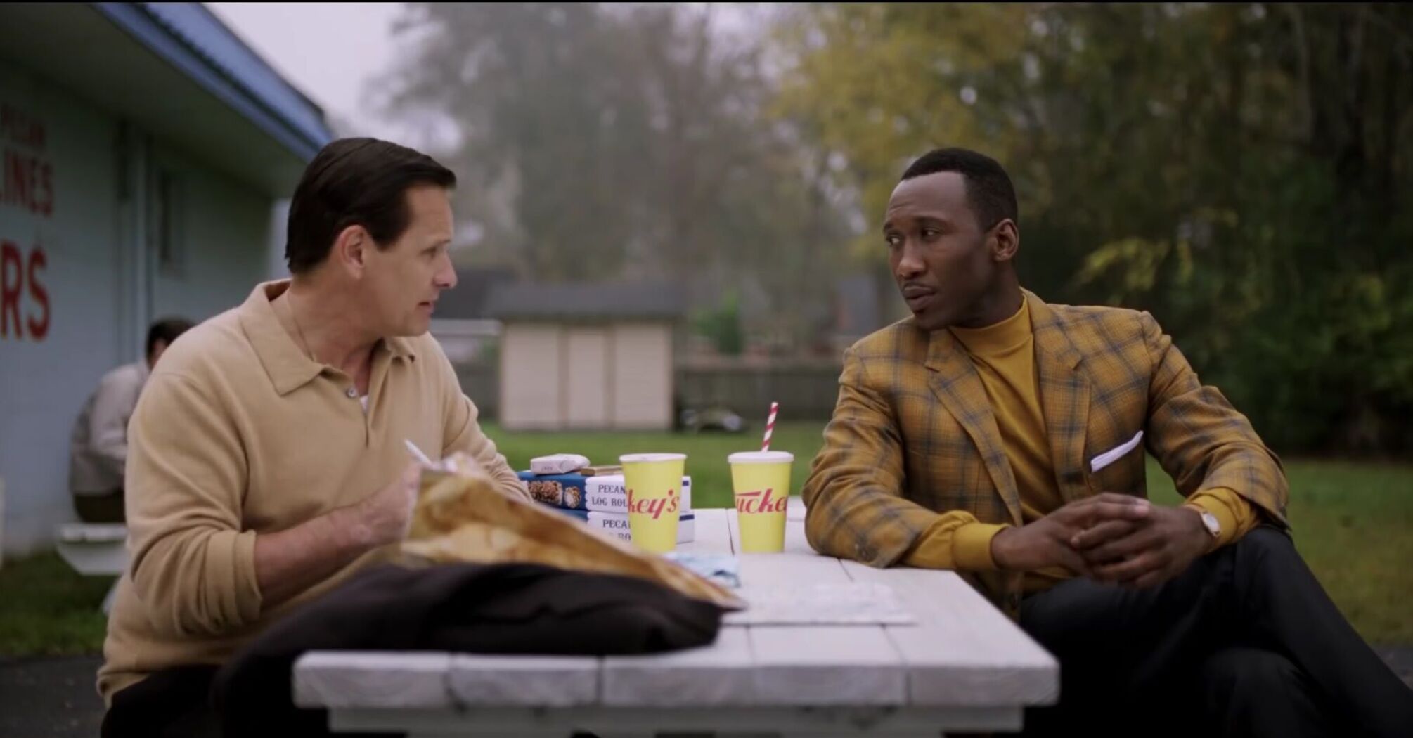 Green Book (2015)