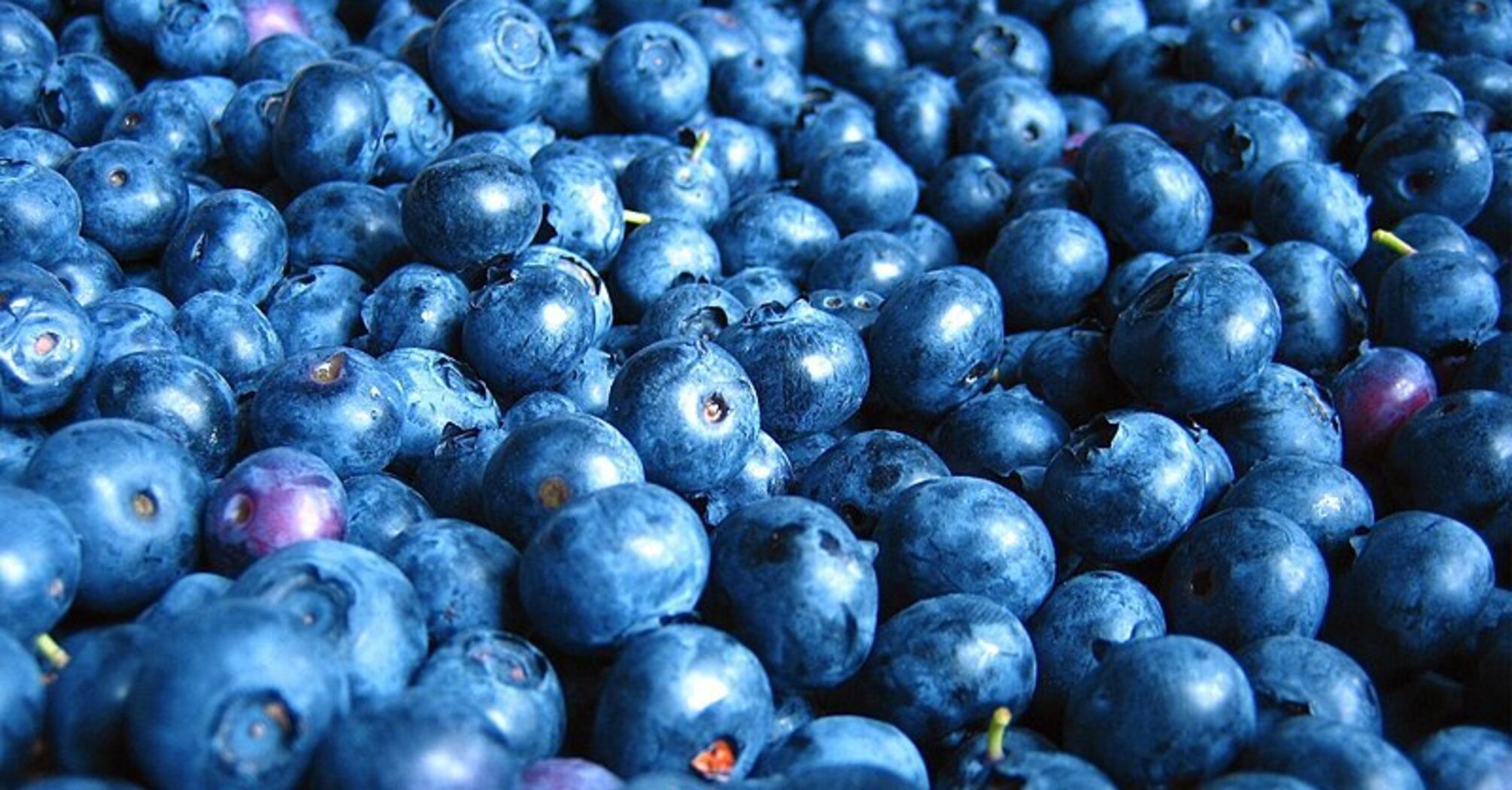 How to Freeze Blueberries