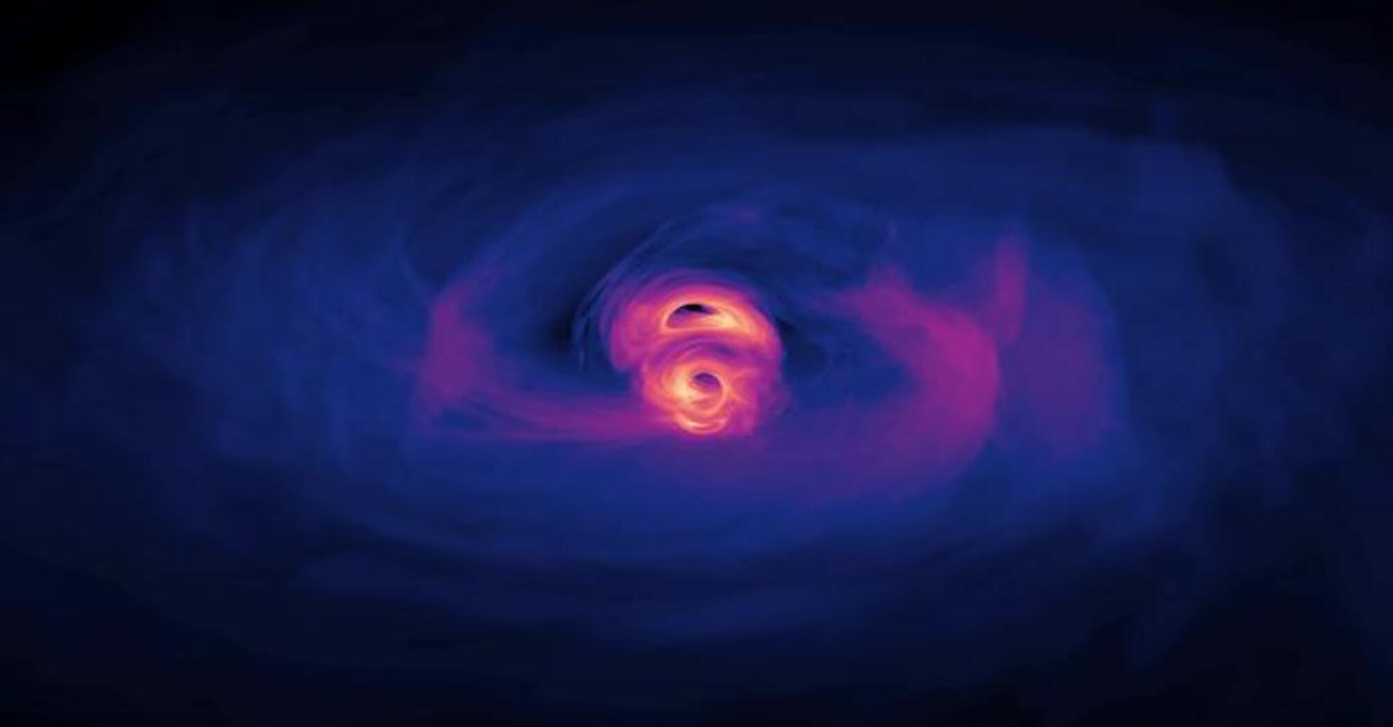 Black Holes and Dark Matter