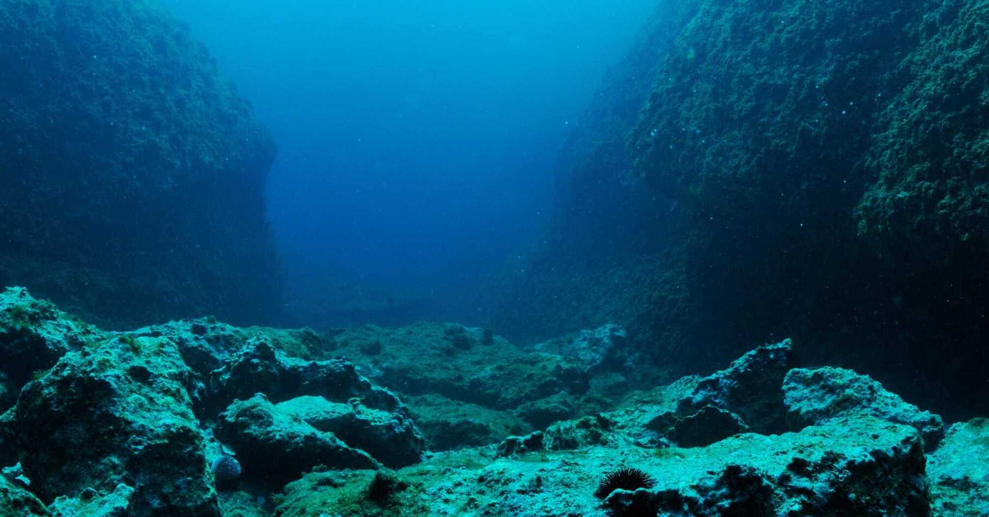 'Dark Oxygen' Discovered on Ocean Floor May Reshape Our Understanding of Life Origin