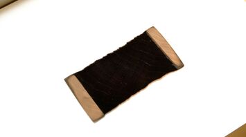 UBC discovered light-absorbing black wood: it can improve optical devices