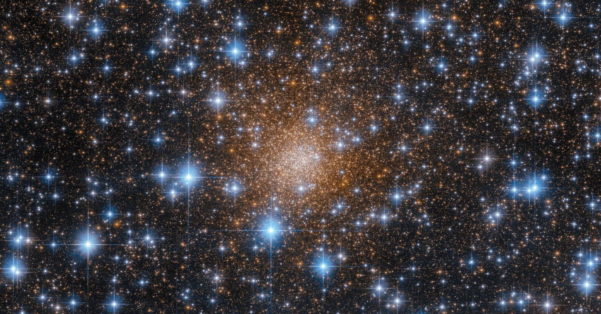 New Variable Stars Discovered in NGC 6558 Globular Cluster