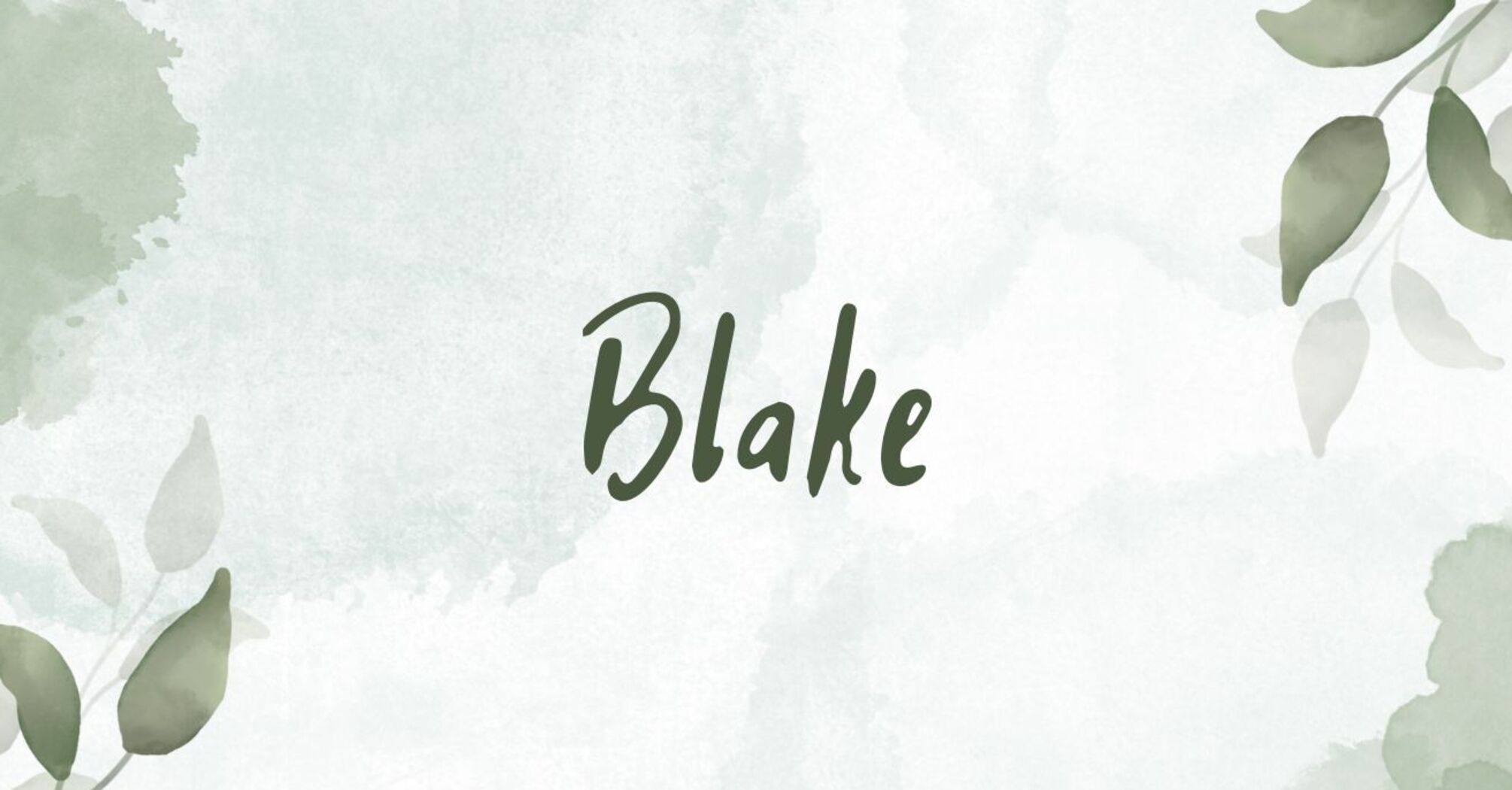 Meaning of the name Blake
