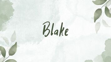 Meaning of the name Blake