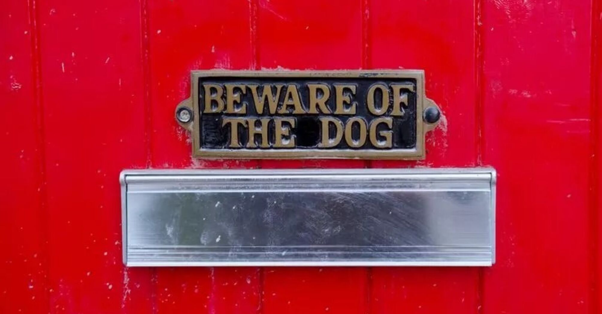 Beware of the dog