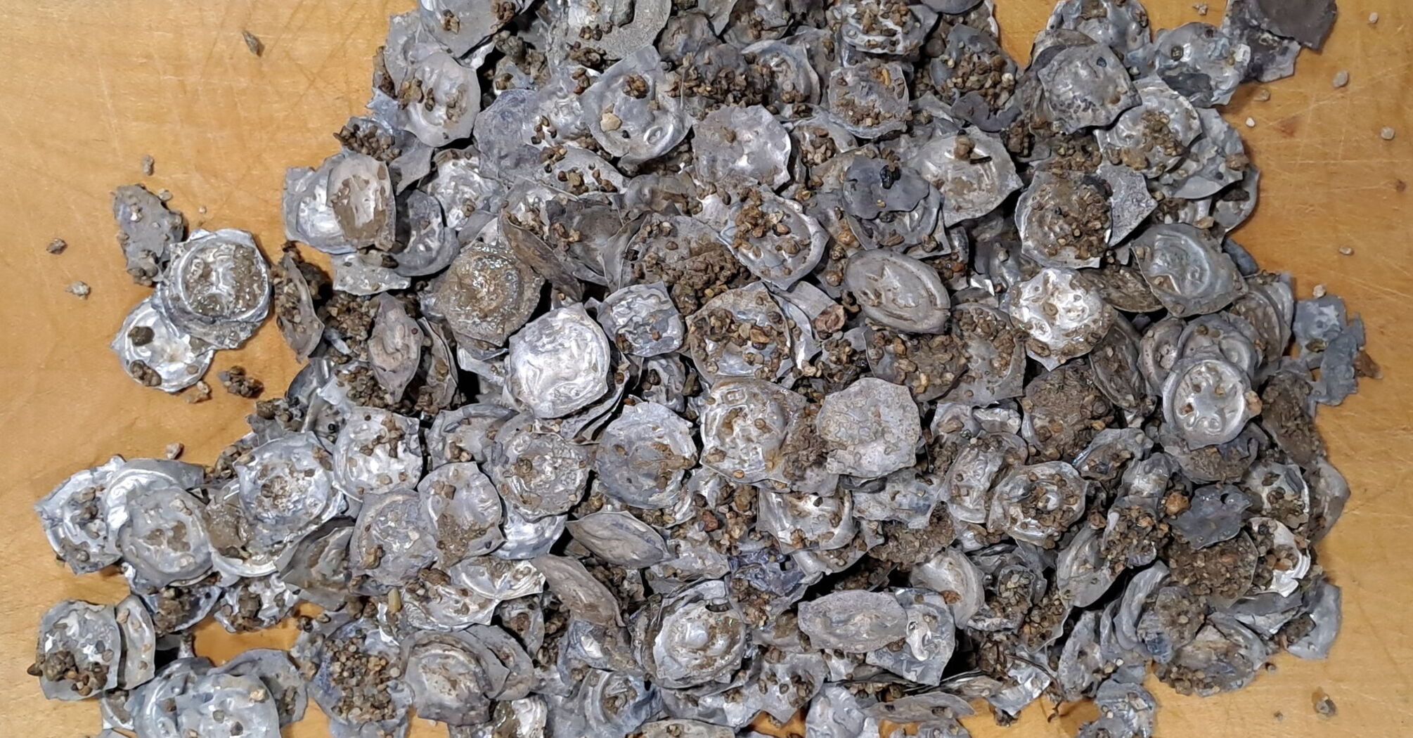 Medieval coin hoard