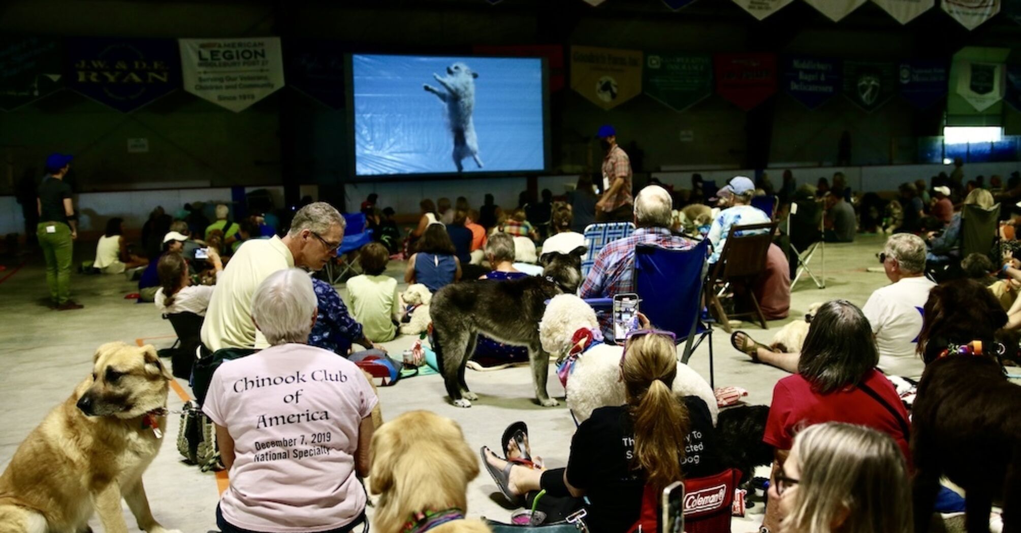 Over 200 dogs and their owners attended a special screening of "Inside the Mind of a Dog"