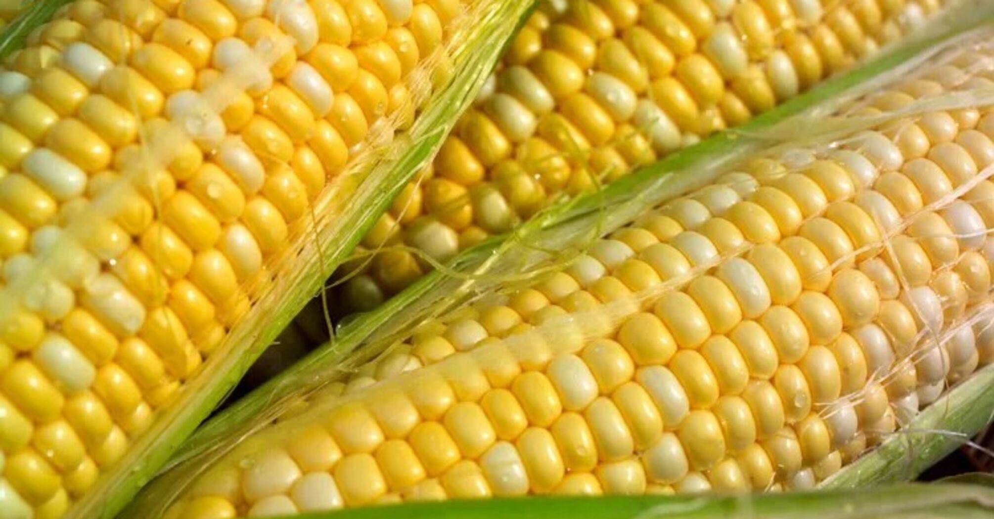 Corn