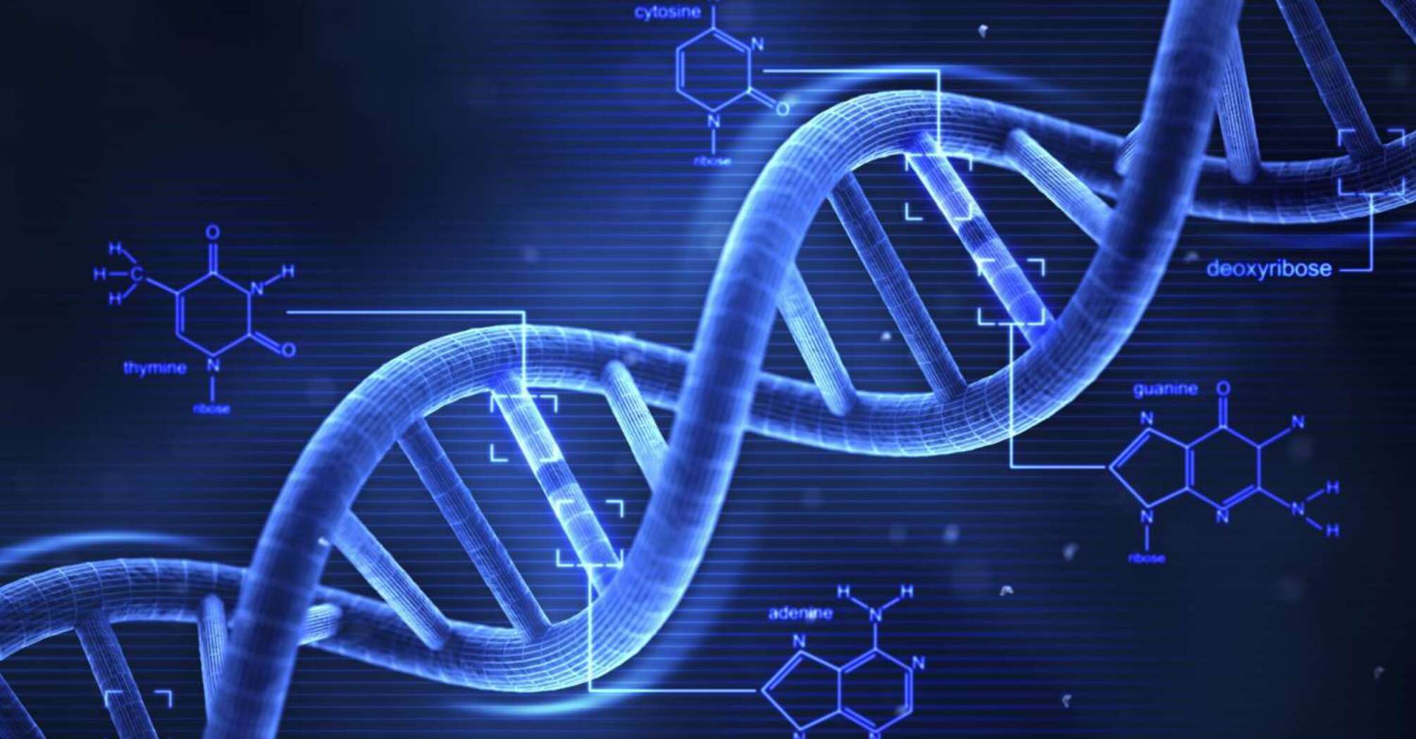 Rare Diseases Highlight Connections Between Metabolism and Immunity