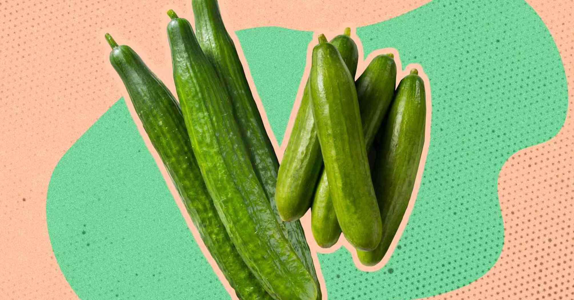 Extending the Shelf Life of Both Cut and Whole Cucumbers: Expert Tips