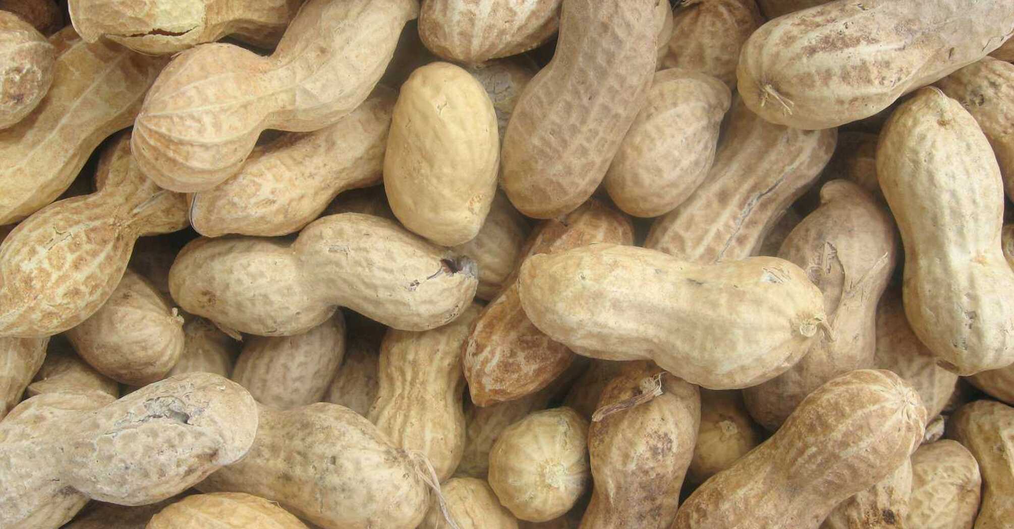 How to Easily Remove Peanut Skin