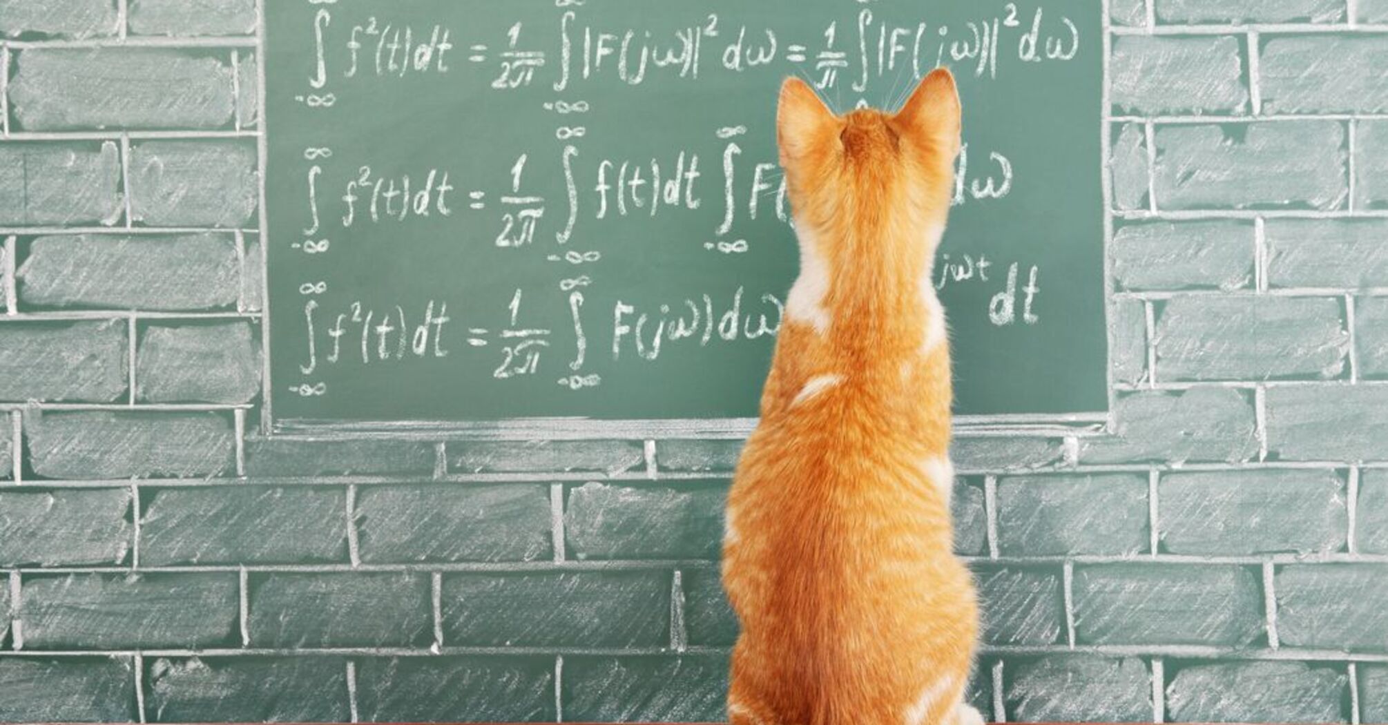 A Cat Co-Authored an Influential Physics Paper