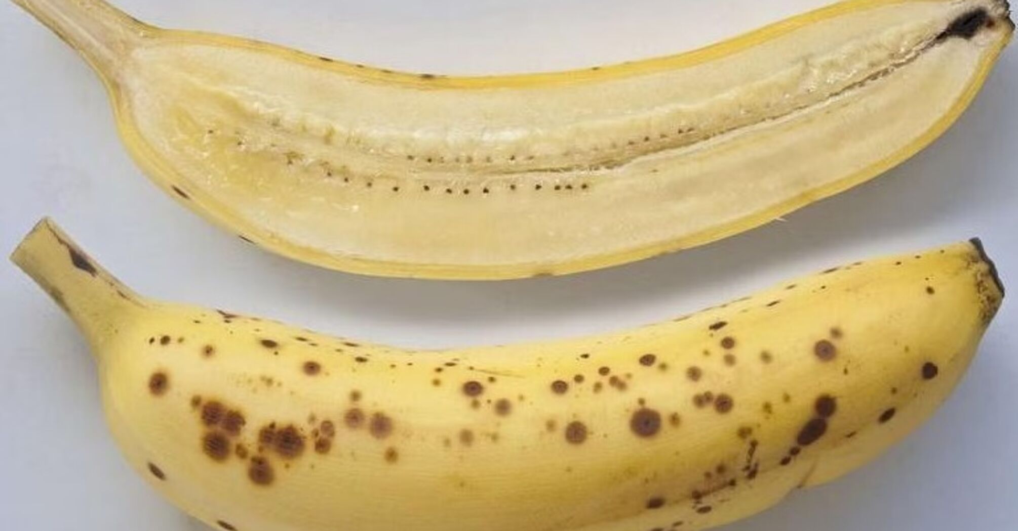 Bananas Facing Extinction Because Of Fungal Threat