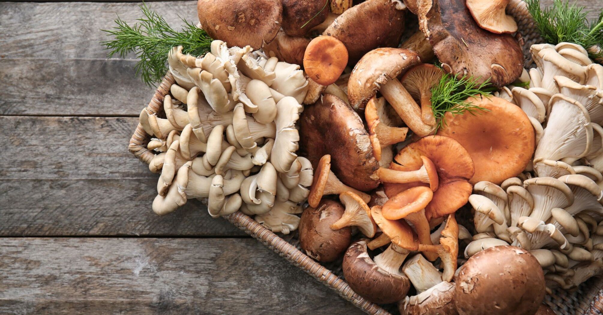 How to Select and Store Mushrooms