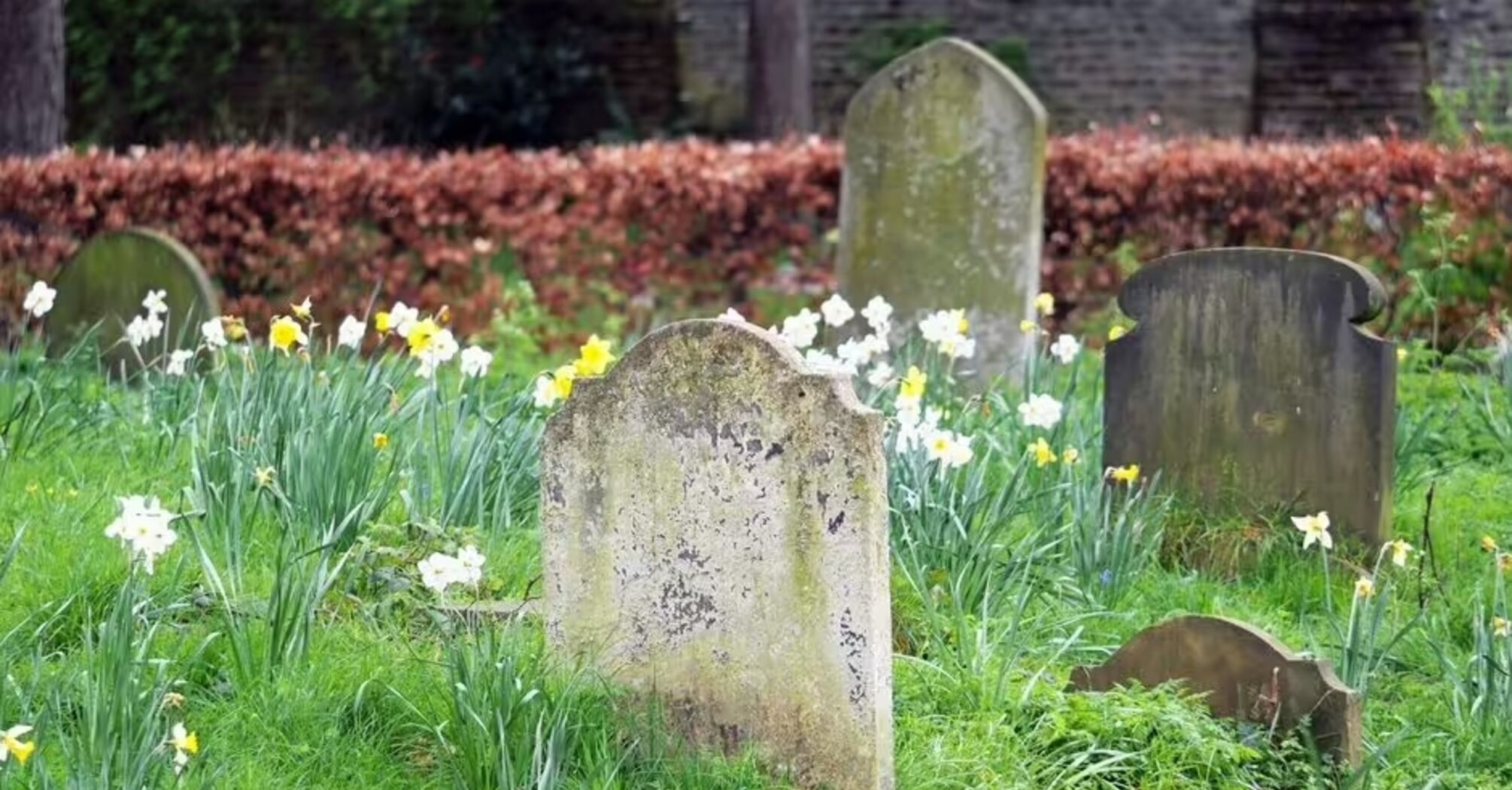 Gravestone in the garden