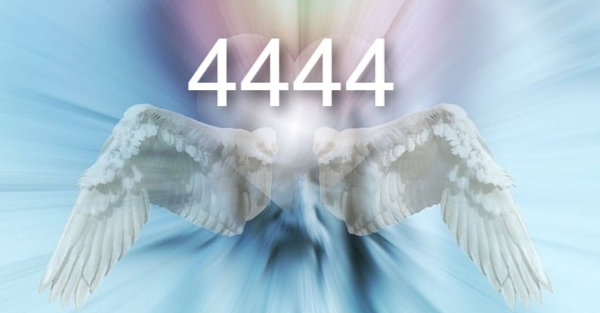 Driven by angels: spiritual meaning of the number 4444 | SSP Daily