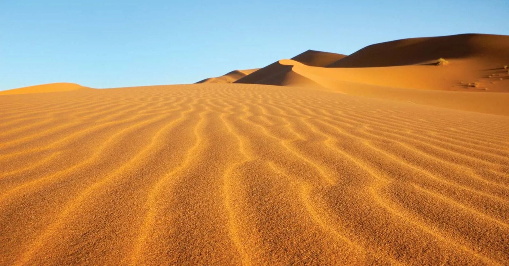 How Saharan dust influences hurricane rainfall