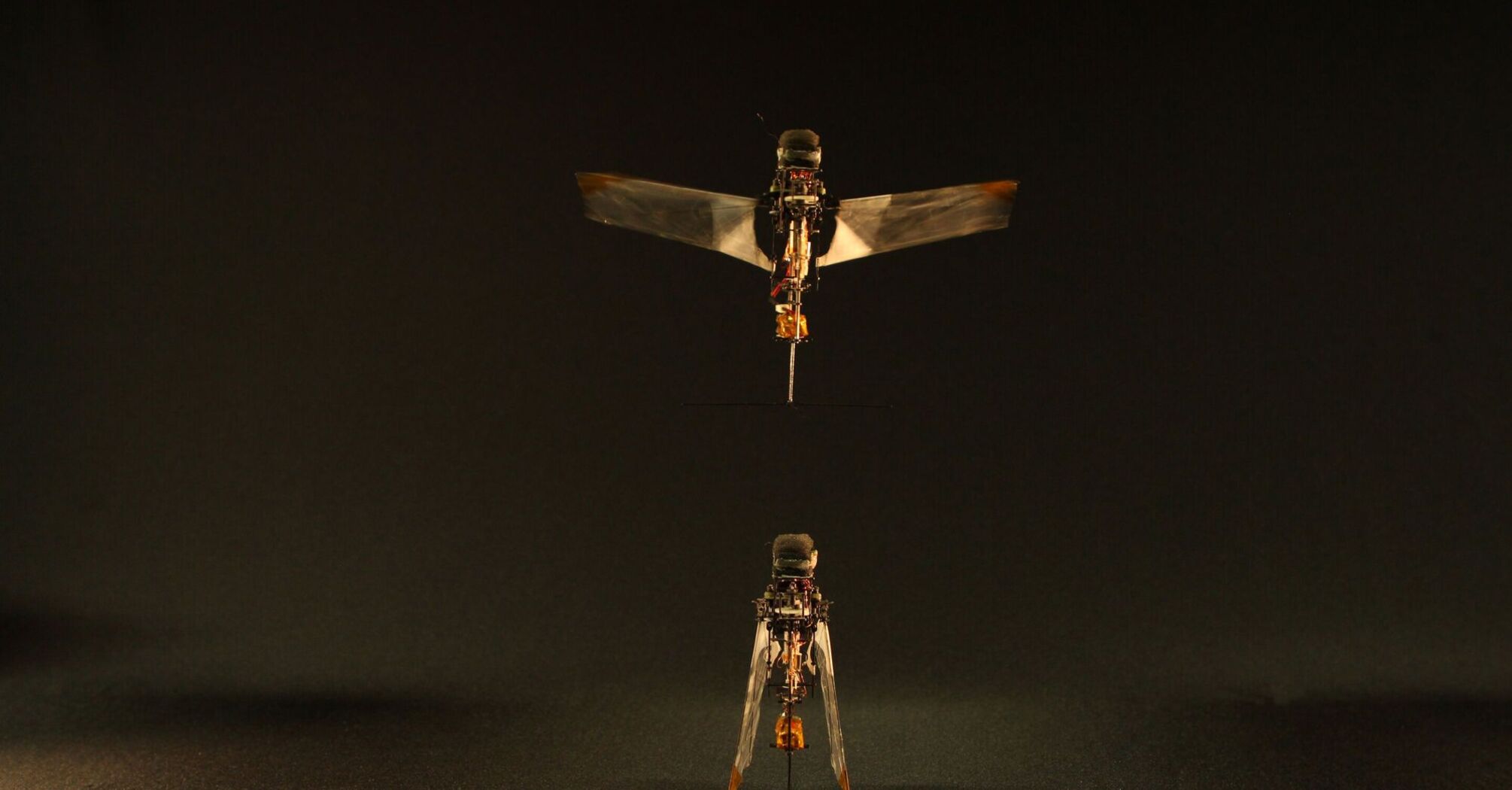 A new flapping microrobot inspired by the wing dynamics of rhinoceros beetles has been developed