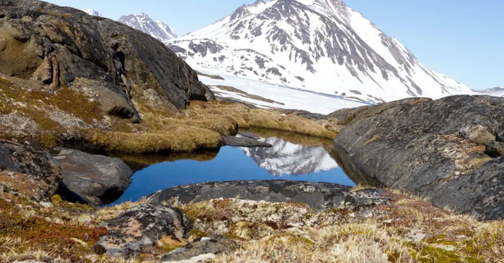 Greenland fossil discovery reveals alarming risk of sea-level rise